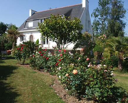 la chambre d'hôte de Marie Thé à Fouesnant, le jardin