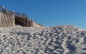 plage de sable "les dunes"